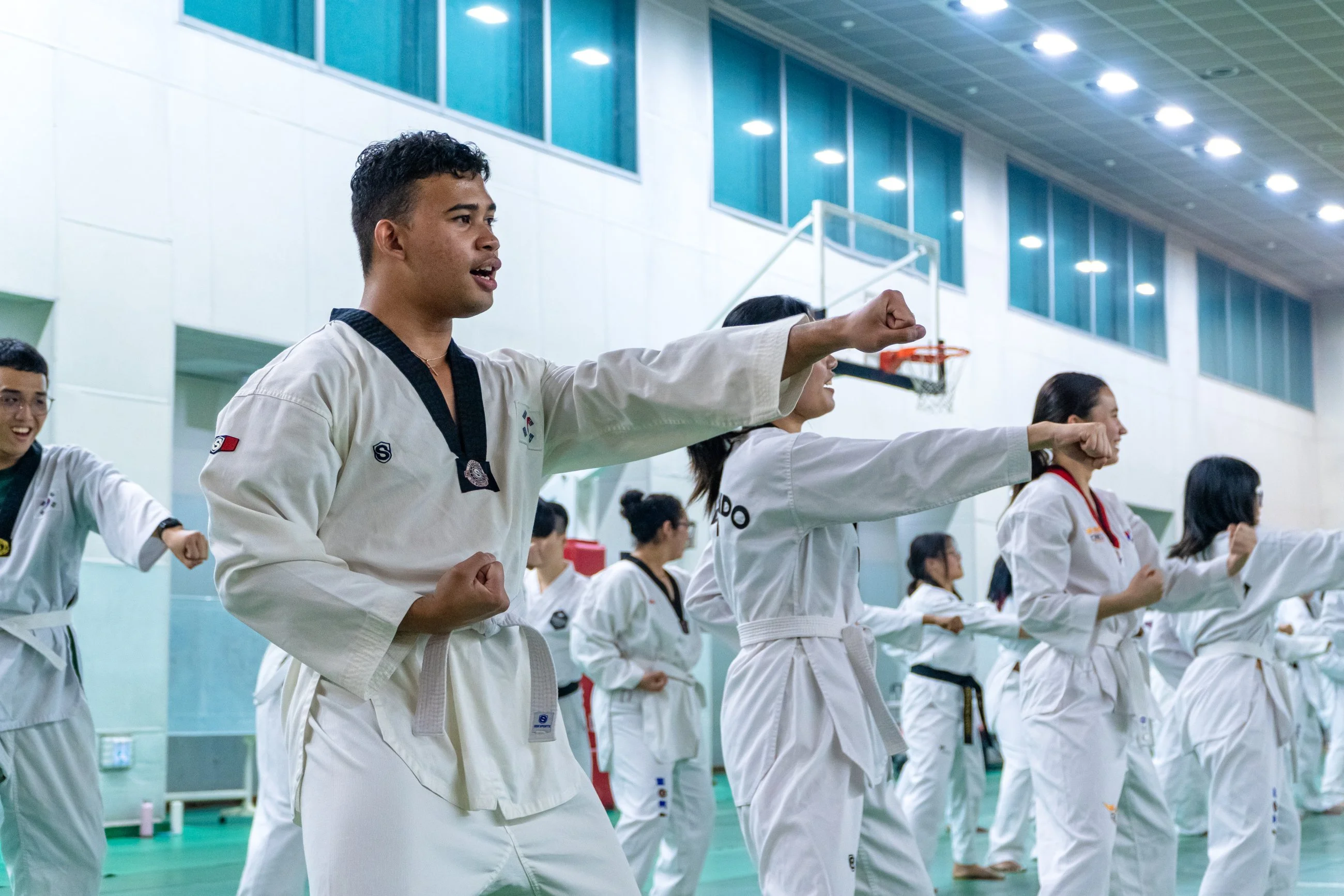 Taekwondo One-day Class