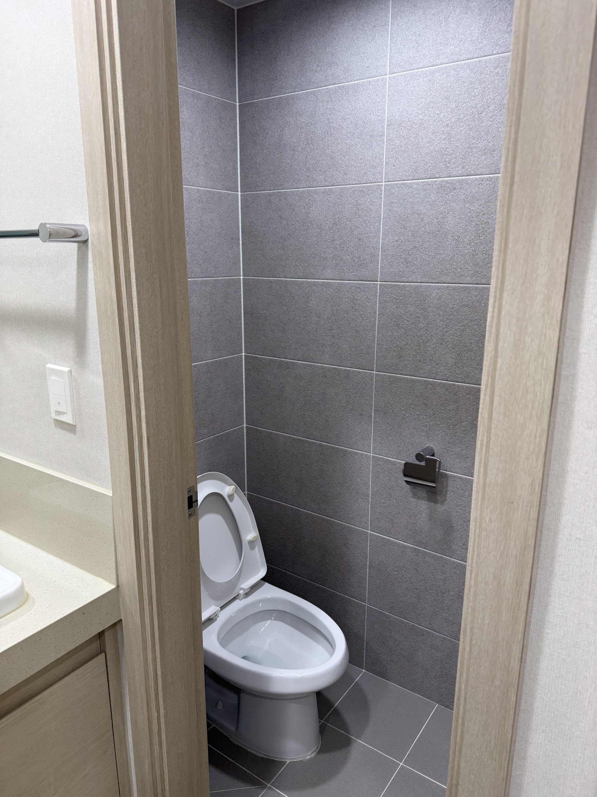 Anam Bathroom Detail (Toilet)