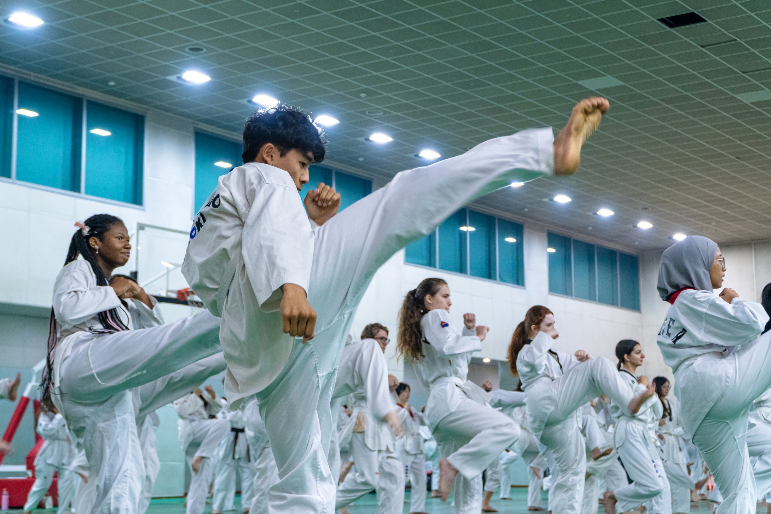 Taekwondo One-day Class